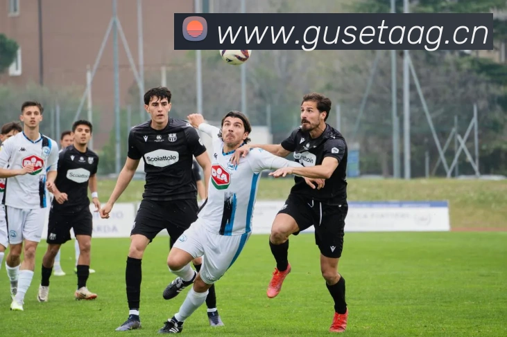 开云kaiyun官网最新活动平台生态图