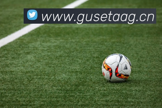 开云kaiyun官网最新活动APP 封面图